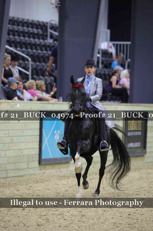 Proof 21_BUCK_04974