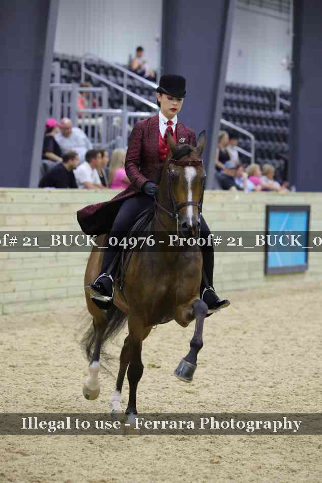 Proof 21_BUCK_04976