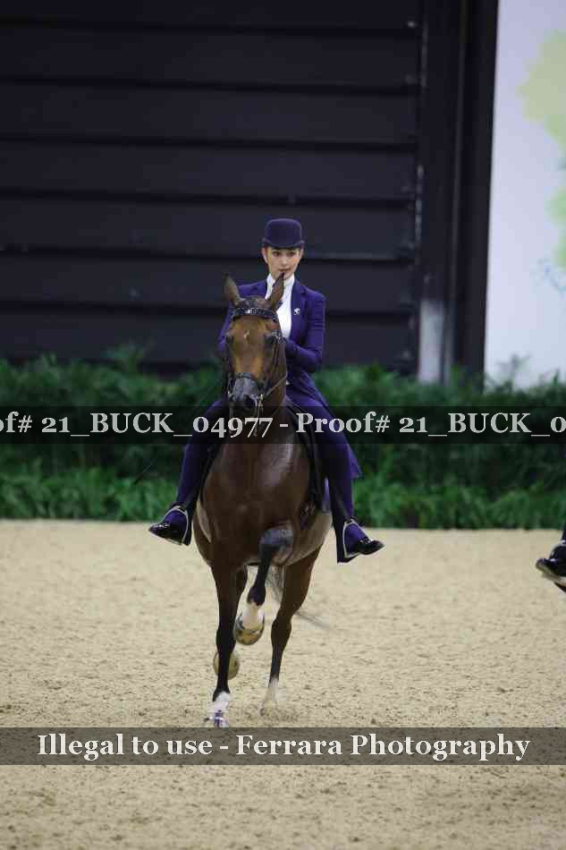 Proof 21_BUCK_04977