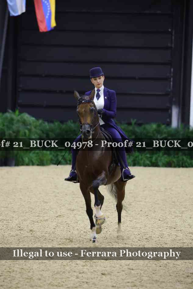 Proof 21_BUCK_04978