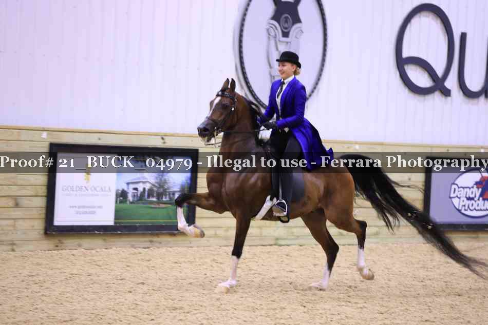 Proof 21_BUCK_04979