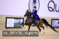 21_BUCK_04979 proof