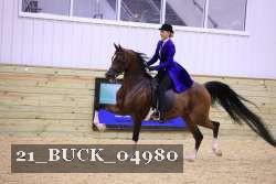 21_BUCK_04980 proof