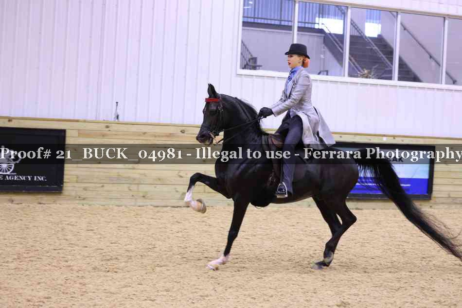 Proof 21_BUCK_04981
