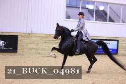 21_BUCK_04981 proof