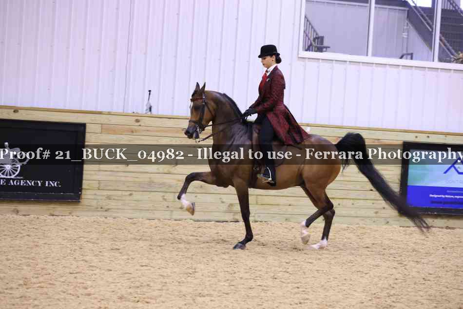 Proof 21_BUCK_04982