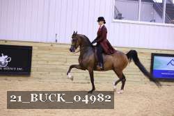 21_BUCK_04982 proof