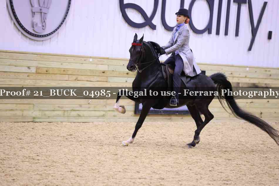 Proof 21_BUCK_04985