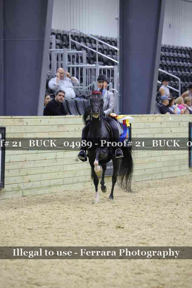 Proof 21_BUCK_04989