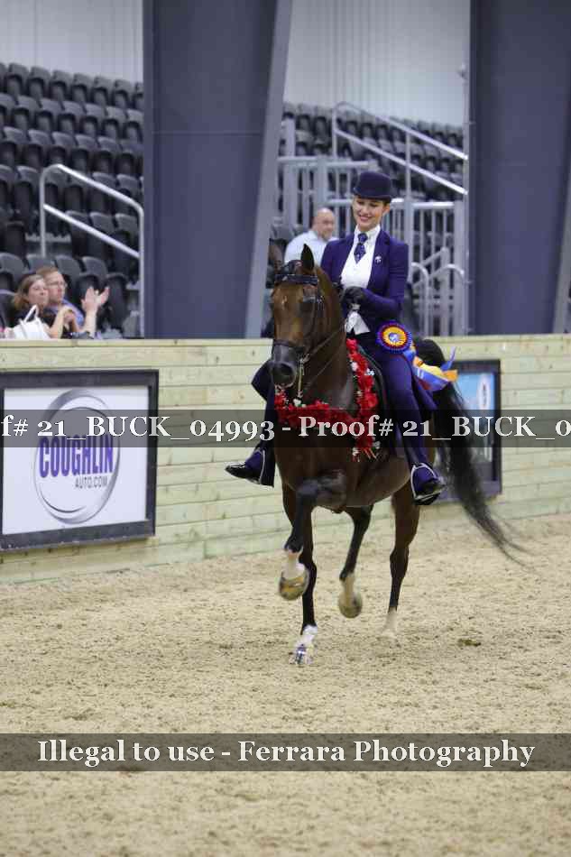 Proof 21_BUCK_04993
