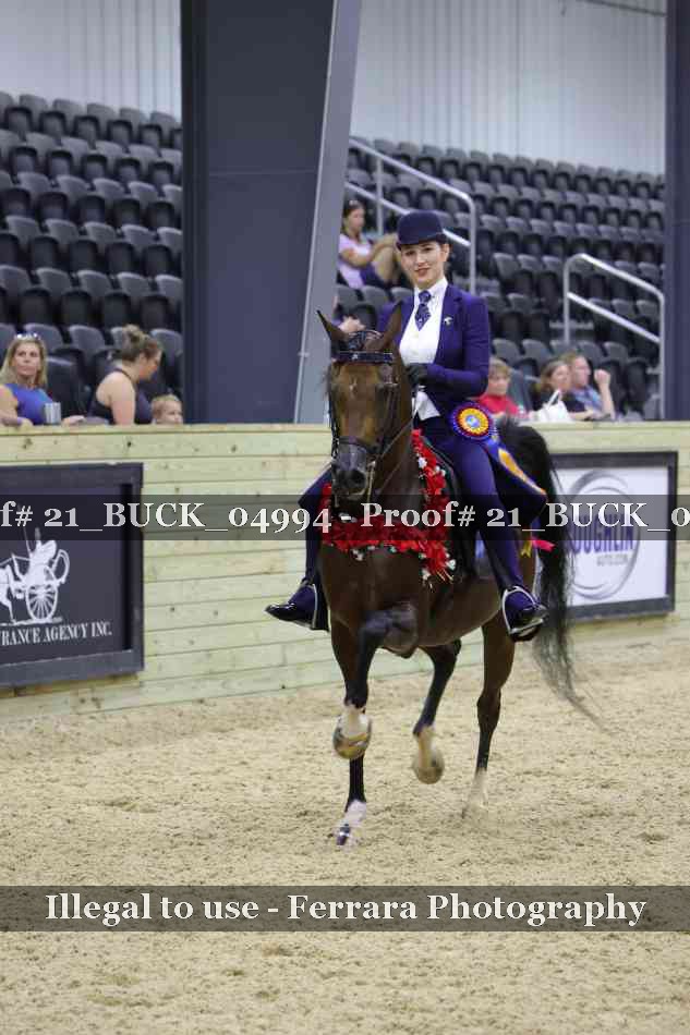 Proof 21_BUCK_04994