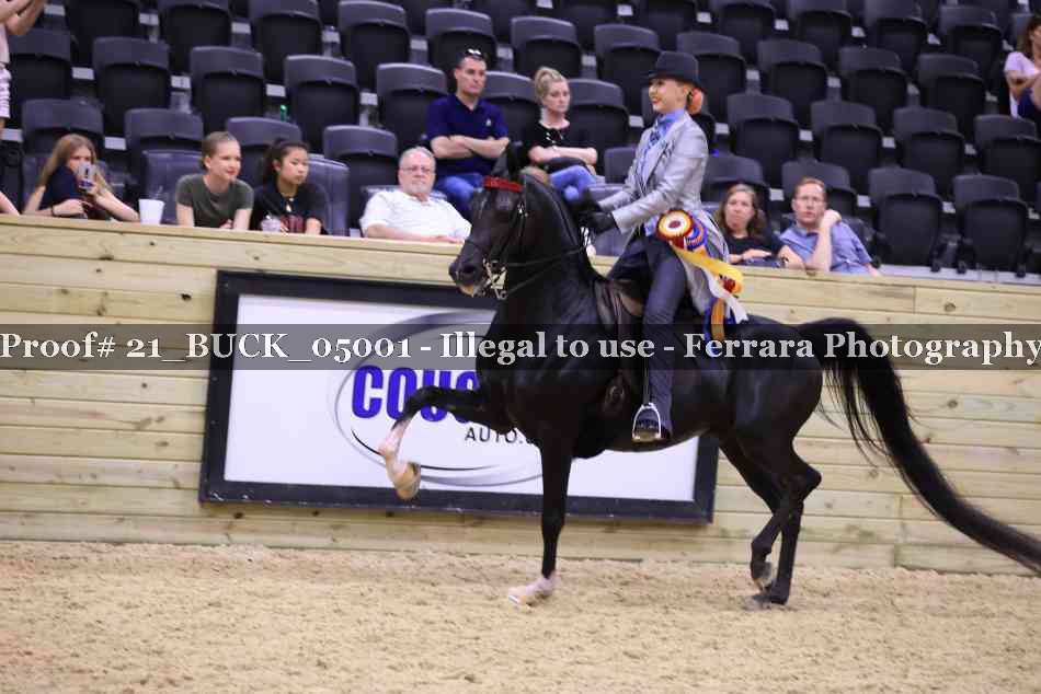 Proof 21_BUCK_05001