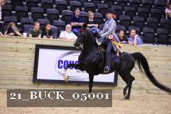 21_BUCK_05001 proof