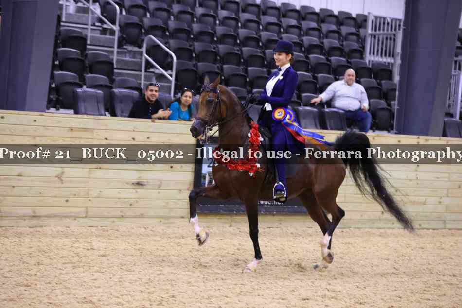 Proof 21_BUCK_05002