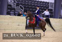21_BUCK_05002 proof