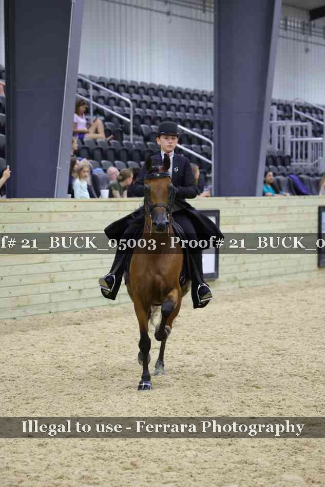 Proof 21_BUCK_05003