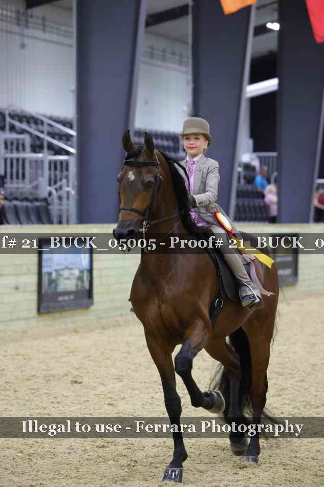 Proof 21_BUCK_05005