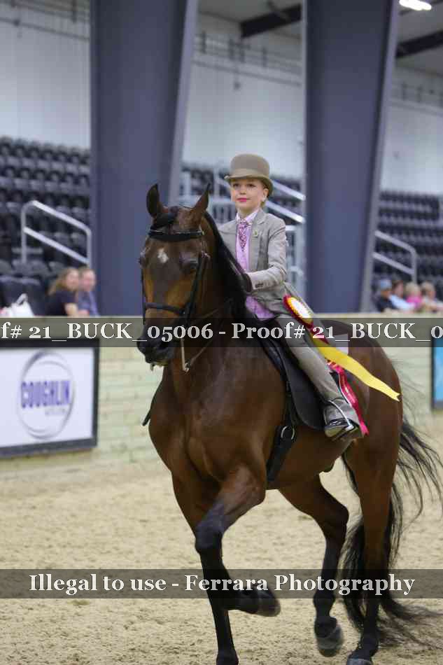 Proof 21_BUCK_05006