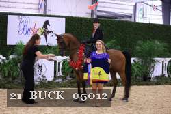 21_BUCK_05012 proof