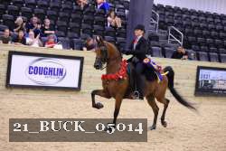 21_BUCK_05014 proof