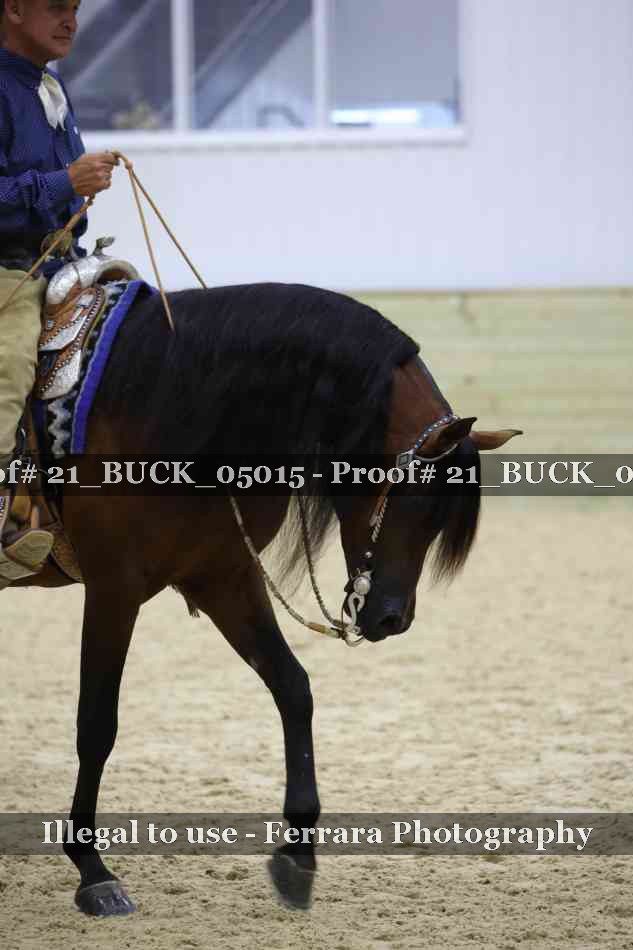 Proof 21_BUCK_05015