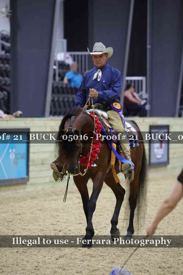 Proof 21_BUCK_05016