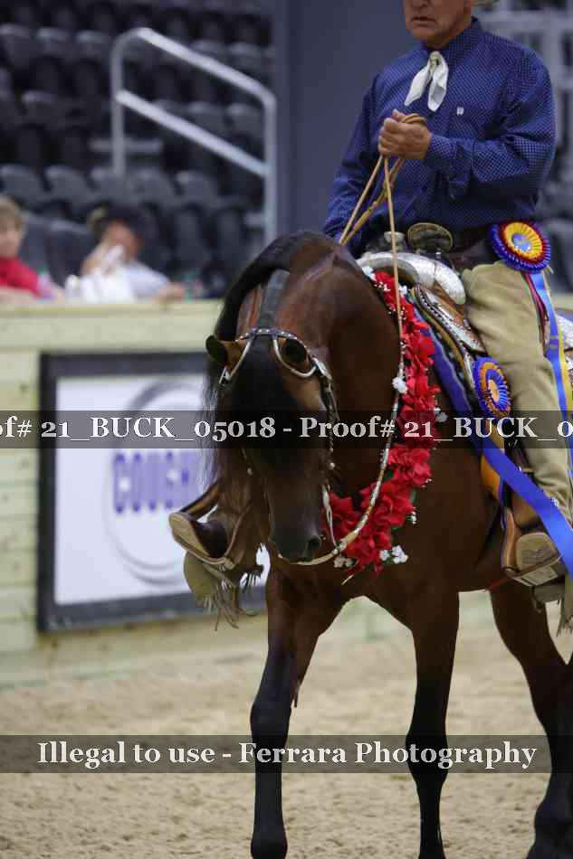 Proof 21_BUCK_05018