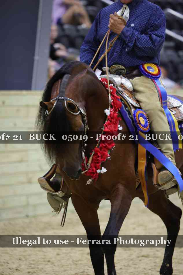 Proof 21_BUCK_05019