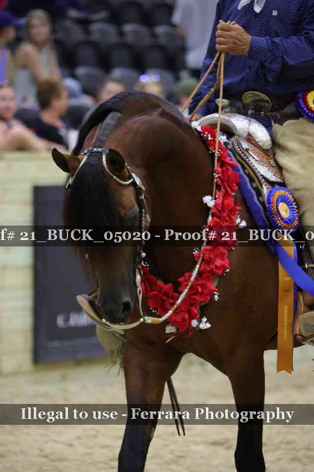 Proof 21_BUCK_05020