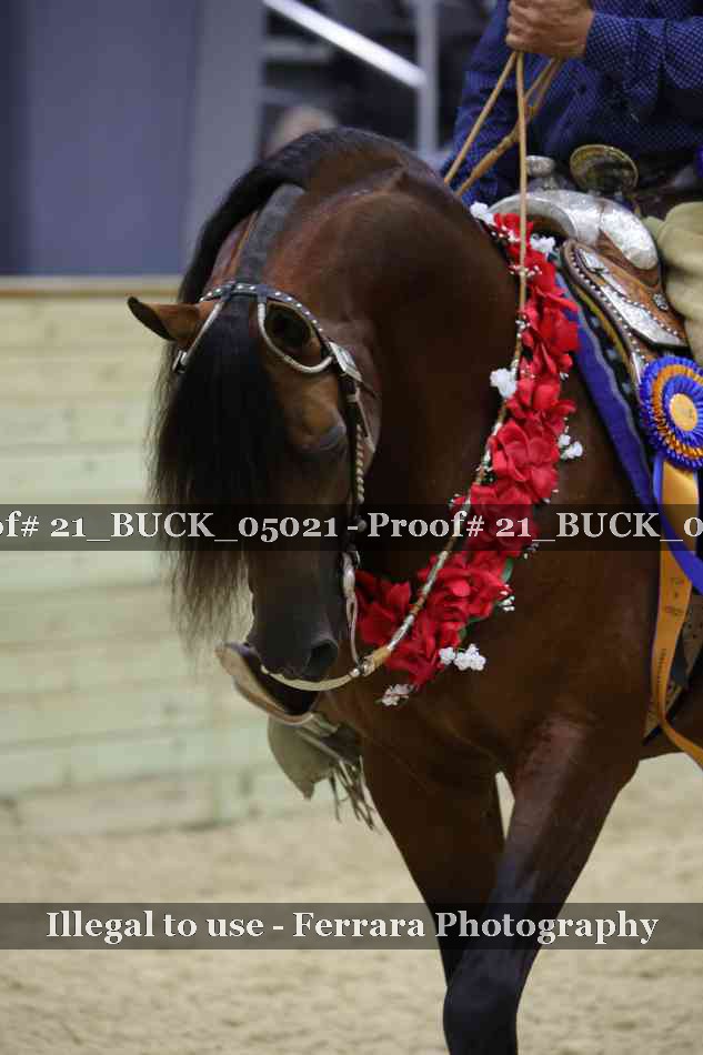 Proof 21_BUCK_05021