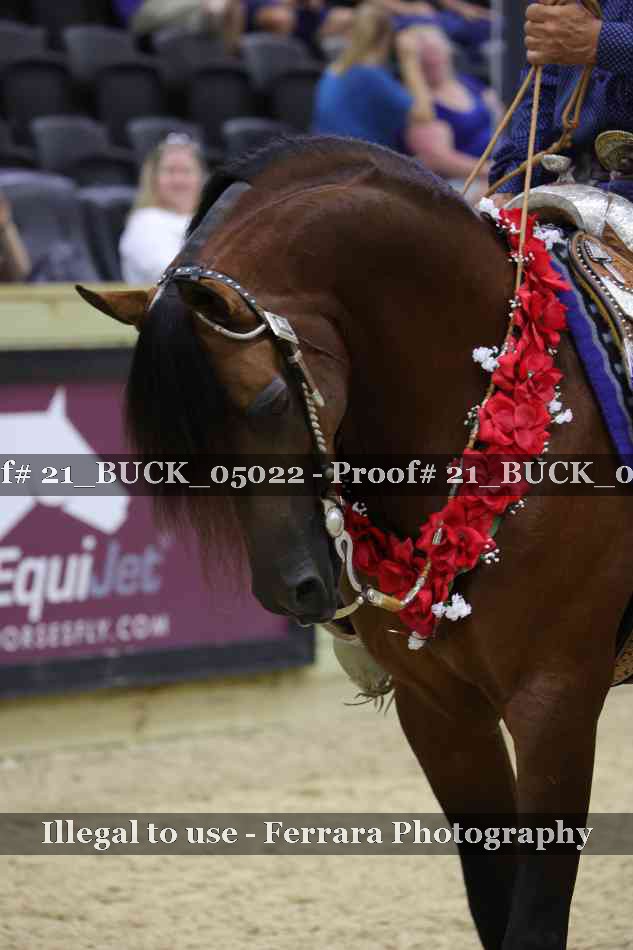 Proof 21_BUCK_05022