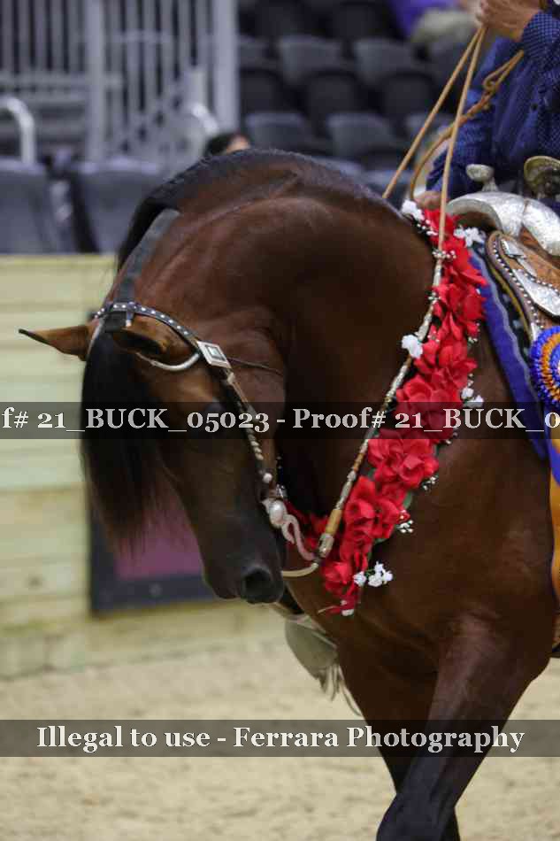 Proof 21_BUCK_05023