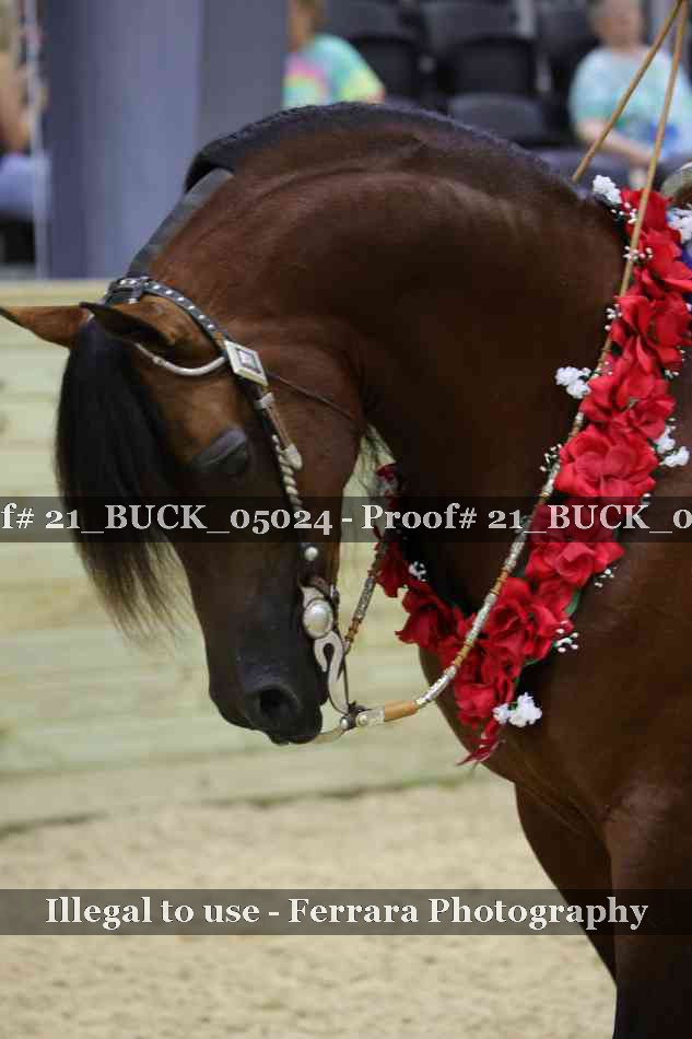 Proof 21_BUCK_05024