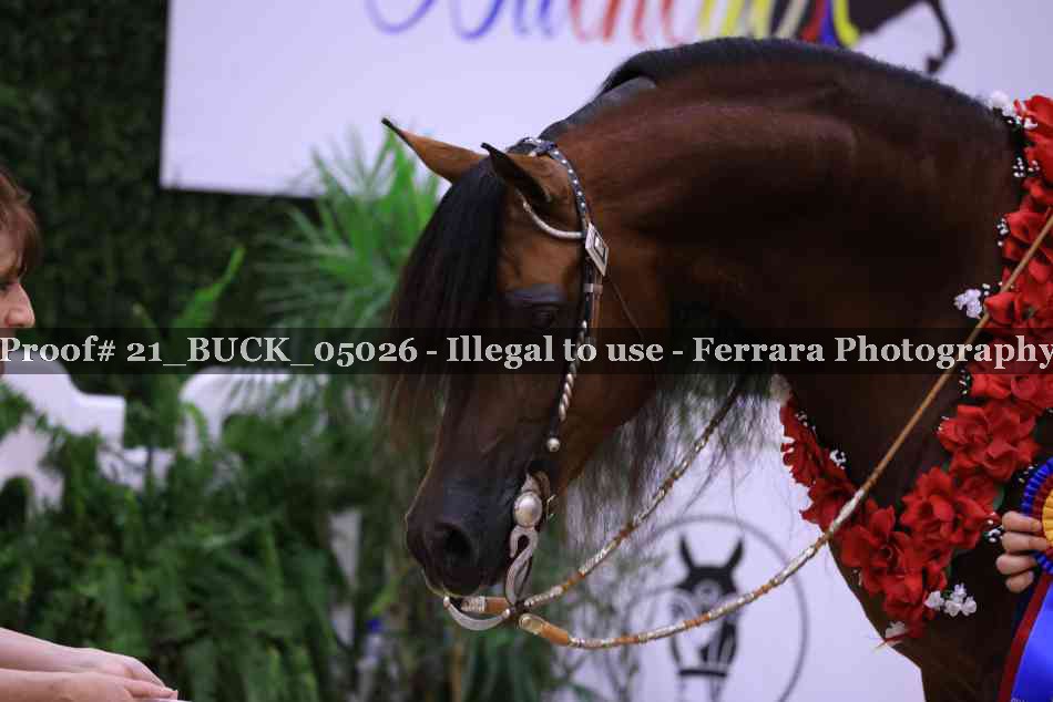 Proof 21_BUCK_05026