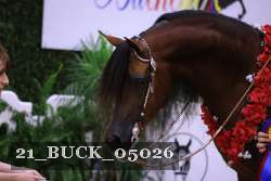 21_BUCK_05026 proof