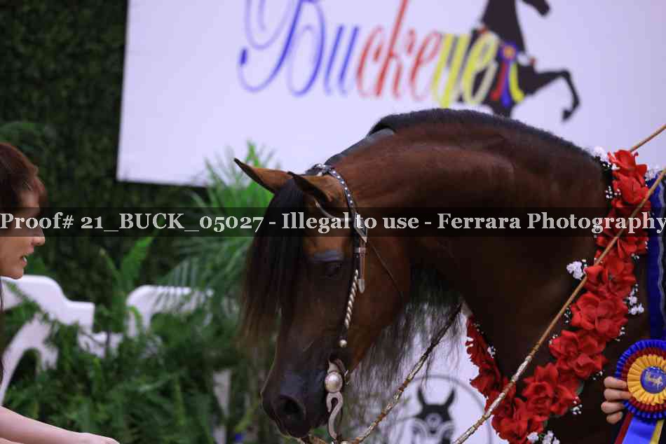 Proof 21_BUCK_05027