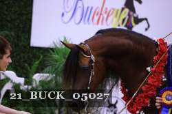 21_BUCK_05027 proof