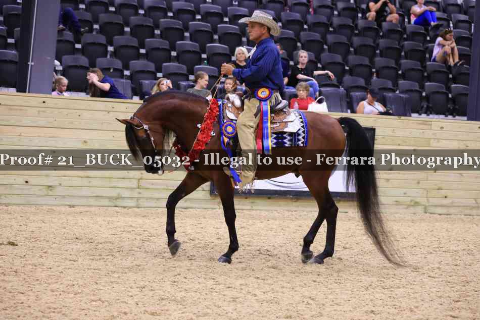 Proof 21_BUCK_05032