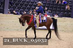 21_BUCK_05032 proof