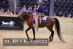 21_BUCK_05033 proof
