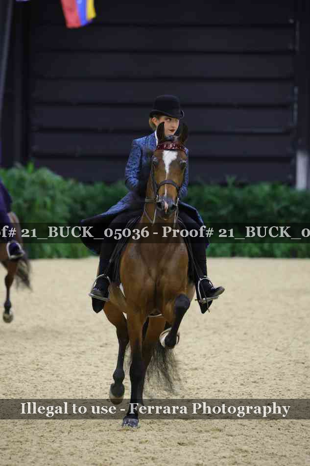 Proof 21_BUCK_05036