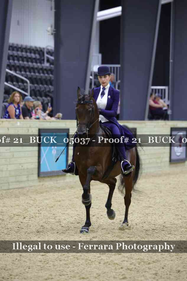 Proof 21_BUCK_05037