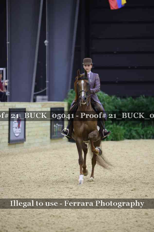 Proof 21_BUCK_05041