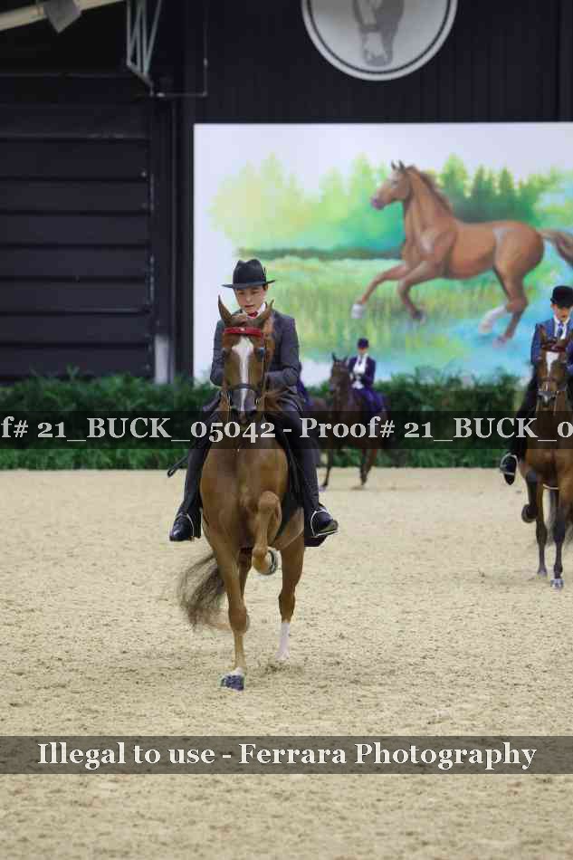 Proof 21_BUCK_05042