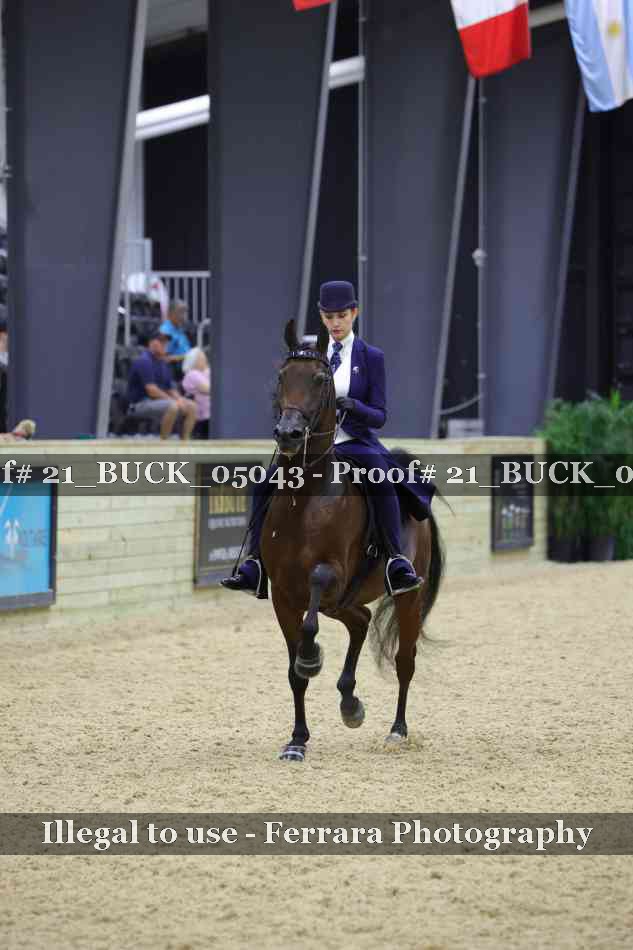 Proof 21_BUCK_05043