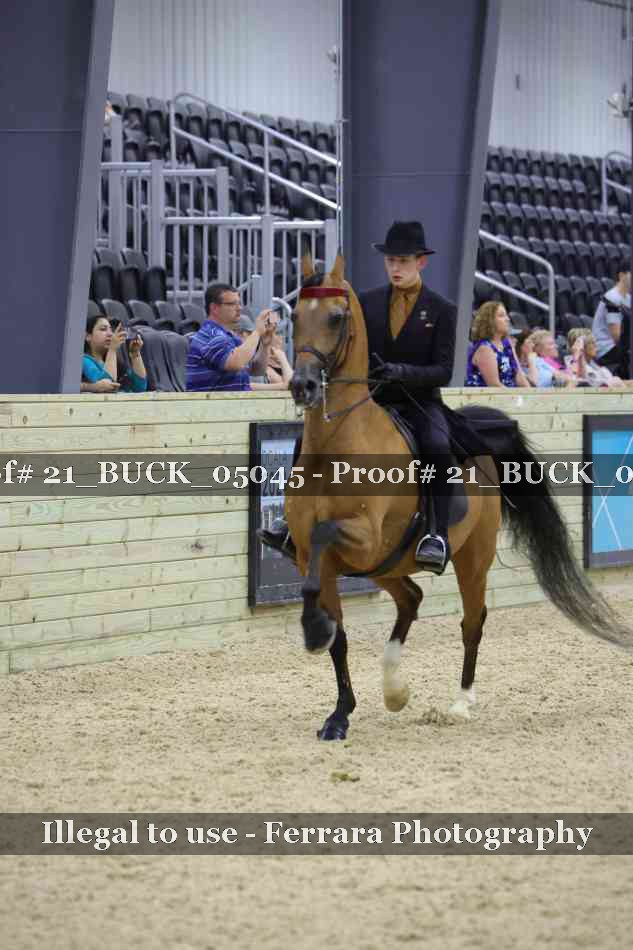 Proof 21_BUCK_05045
