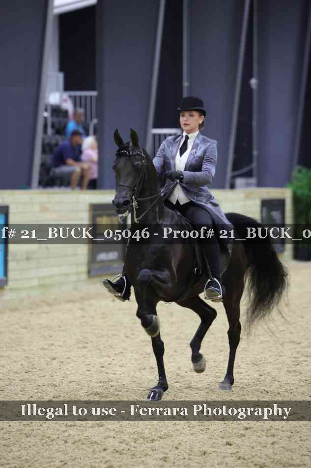 Proof 21_BUCK_05046