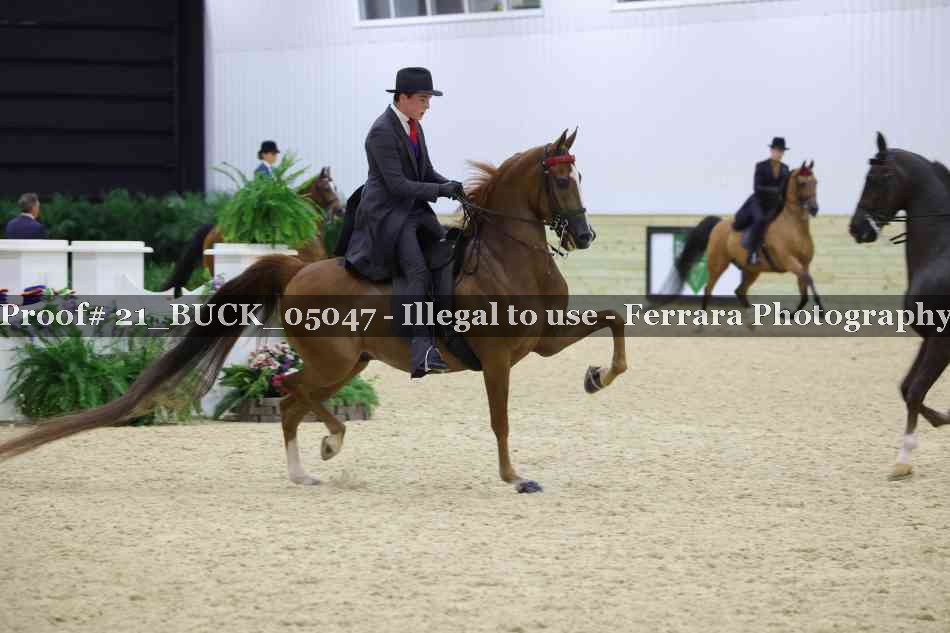 Proof 21_BUCK_05047
