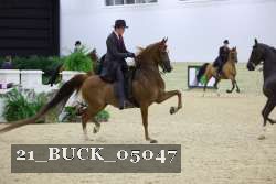 21_BUCK_05047 proof