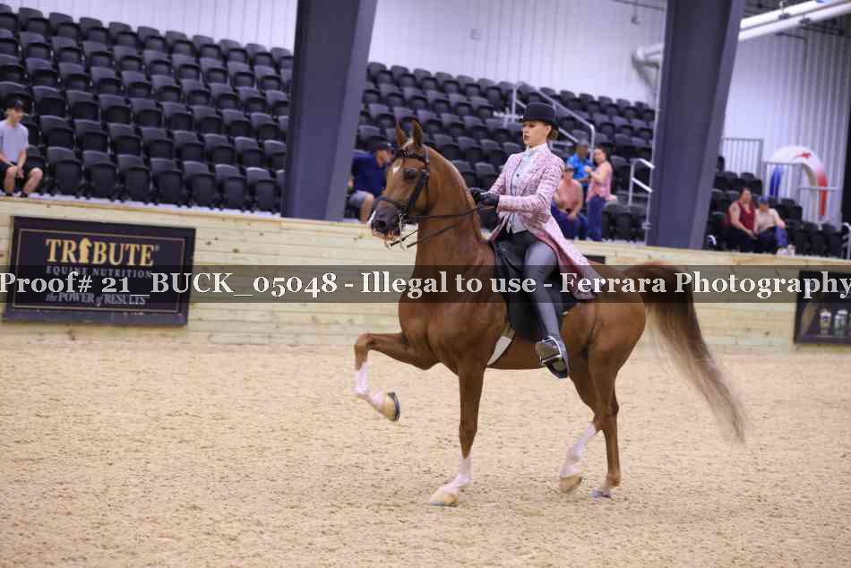 Proof 21_BUCK_05048